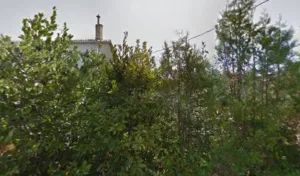 Berthoud Evelyne à Plan-de-Cuques