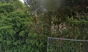 Latil Arnaud à Carqueiranne