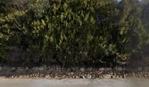 Bonazza Gilles à Carqueiranne