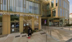 Calvayrac Cédric Infirmier à Rivesaltes