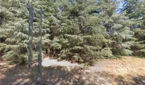 Boitel Jean-Paul à Elne