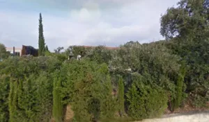 Leherte Michele à La Londe-les-Maures