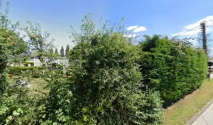 Josse Dominique à Séné