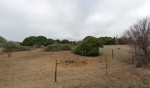 Camel Dominique à Villeneuve-lès-Maguelone
