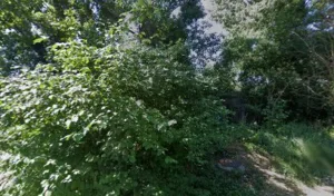 Mayet Martine à Simiane-Collongue