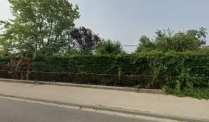 Orts Béatrice à Pibrac