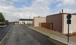 Tiger Grégory à Noyal-Châtillon-sur-Seiche