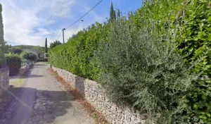 Michel Pascal Jacky à Goudargues