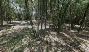 Gwizdek Hervé à Biot